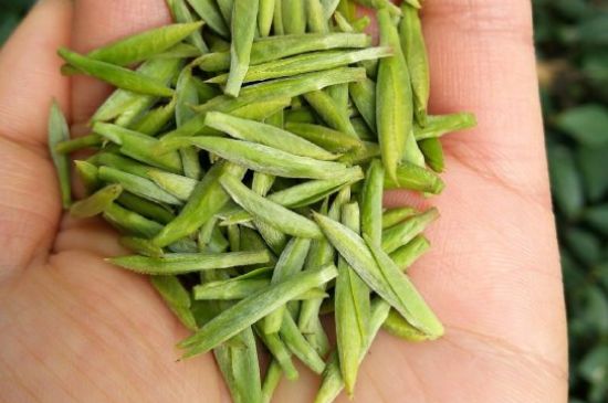 什么綠茶味道濃香，那個(gè)綠茶比較濃香？