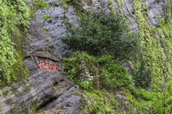大紅袍為什么沒保質(zhì)期，武夷巖茶大紅袍能放幾年？