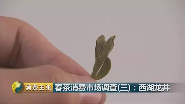 龍井群體種和43號的區(qū)別圖片，龍井43和群體種哪個好喝？