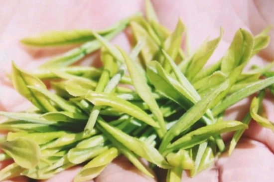 龍井是明前的好還是雨前的好，明前茶和雨前茶哪個(gè)好喝？