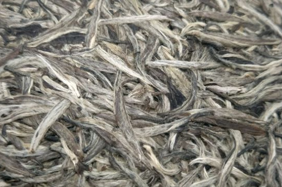 白毫銀針年份久的有什么香，陳年白毫銀針的香氣