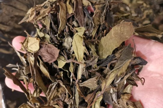 新舊白茶怎么區(qū)分，怎么分辨白茶是新還是舊