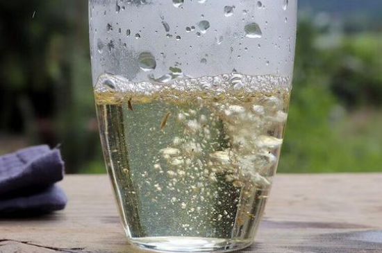 三年白茶賽砒霜，這是真的嗎？