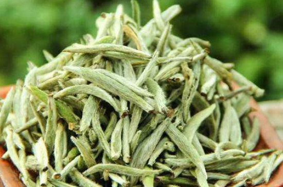 白毫銀針年份越久越好嗎，銀針白毫是否越陳越好