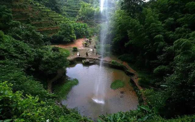武夷山為什么盛產(chǎn)茶葉，武夷山茶為什么好喝？
