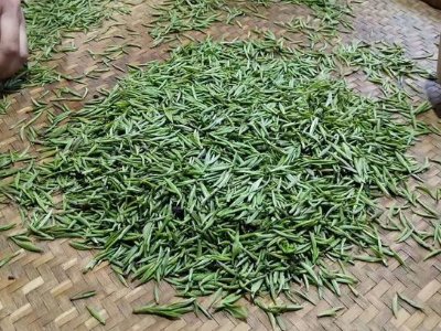 金駿眉幾年可以算陳茶，金駿眉新茶好還是老茶