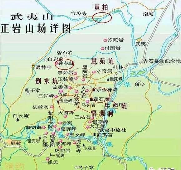 300塊錢的金駿眉能喝嗎，兩三百多金駿眉和一千多區(qū)別