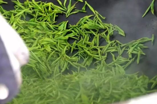 碧螺春為什么泡水渾濁，碧螺春茶葉泡水感覺很臟是混濁的