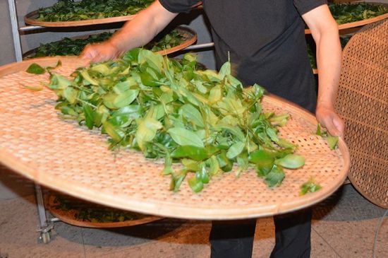 鐵觀音加香精騙局，鐵觀音的香味是添加香精了嗎？