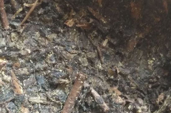 黑茶茯茶保存五大忌，茯茶收藏的注意事項