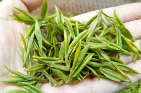 什么是雪前龍井茶，明前、雨前、雨后龍井有什么區(qū)別？