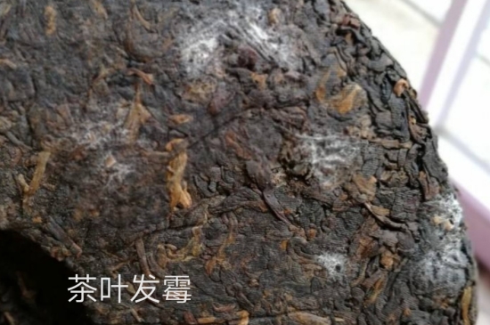 西湖龍井茶毫和發(fā)霉區(qū)別圖片，長(zhǎng)霉的龍井茶葉會(huì)是什么樣？